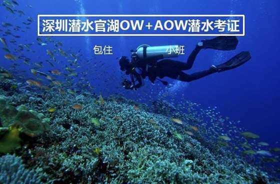 熊出没夺宝历险